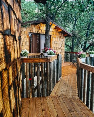 #Glamping. Sui social sta spopolando questo trend vacanziero. Riguarda la tendenza a scegliere di alloggiare in tende allestite con gusto per l’ home decor, totalmente immersi nella natura.

Se l’idea di un soggiorno nel bosco ti alletta, ma non sei tipo da vita da campeggio, un’alternativa altrettanto divertente esiste, e potrebbe costituire la realizzazione di uno dei tuoi più bei sogni d'infanzia: la casetta sull’albero. Tutti l’abbiamo desiderata, come uno spazio in cui fantasticare su avventure e viaggiare con la fantasia. Ce l’abbiamo ancora quel desiderio, ma adesso, da adulti, lo riaccendiamo nel momento in cui sentiamo il bisogno di staccare la spina ed evadere dalla vita di tutti i giorni. 

E’ ormai una certezza, e la scienza lo conferma, che trascorrere del tempo in un bosco giovi alla nostra salute fisica e mentale: la pressione sanguigna si regolarizza ed il nostro umore migliora. Respirare a pieni polmoni l’aria pura e individuare gli odori di erba e terra umida, ti riconnette alla parte più primitiva del tuo essere, l’uso del senso rimasto più istintivo e selvatico della nostra specie, l’olfatto. Per quel che riguarda l’udito invece, il cinguettio degli uccellini, il fruscio delle foglie e lo scrosciare di una cascata delizieranno il vostro risveglio. Trovate un modo migliore di cominciare la giornata?

Alloggiare in una casetta sull’albero è un viaggio sensoriale: all’ingresso in stanza vi inebrierete col profumo di resina emanato dai rami che attraversano alcuni degli ambienti e dalle finiture il legno grezzo, sapientemente accostate ad un arredamento rustico al tatto con tocchi di tradizione locale. 

Le ultime casette che abbiamo realizzato le abbiamo concepite per condividere la vacanza con i vostri piccoli, un’occasione per allontanarli un po' dal mondo virtuale e urbano, mostrargli la magia della natura e insegnar loro come rispettarla. 

I nostri ospiti hanno amano di rilassarsi la sera sulla balconata che circonda ogni casetta, seduti a contemplare le stelle ed il panorama dello Stretto, dopo aver trascorso una giornata a far escursioni a Taormina, sull’Etna o semplicemente al mare, distante solo 10 minuti da Villa Alba.